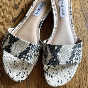 Steve Madden Snake slide sandal